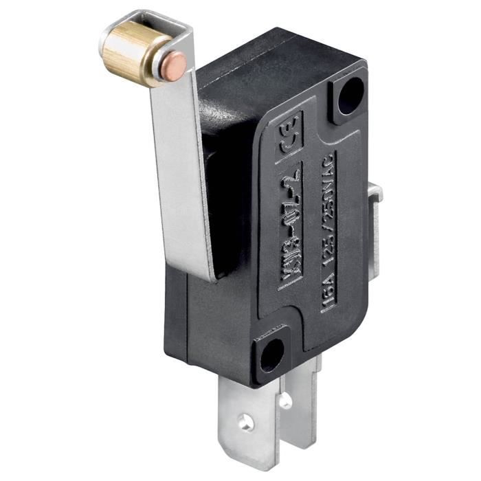 Micro-interrupteurs Pour Aspirateur - Lot De 10 Pièces 2 Broches 5A 250V - Compatible KW4-3Z-3