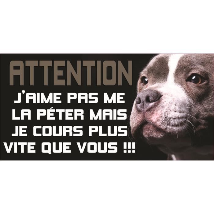 Son Lo Mismo American Staffordshire Terrier Y Pitbull