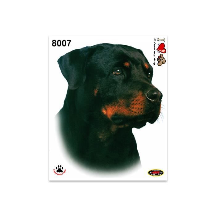 Winston &ap; Bear Autocollants Pour Chien 3D - 2 Pack - Berger Alleand Curieux Ur, Réfrigérateur