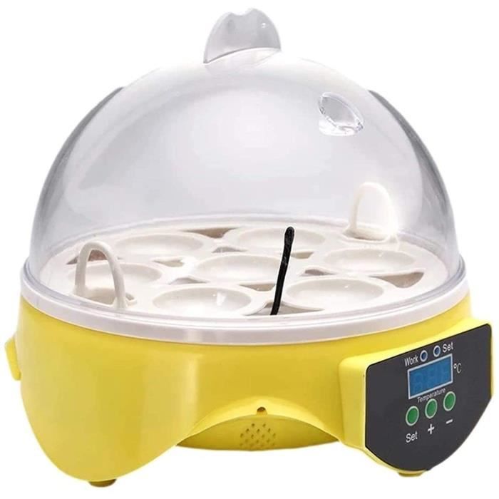 couveuse oeuf automatique AJLDN Couveuse Automatique 7 oeligufs Incubateur doeufs Transparent et Digital Incubateur agrave Oeufs396