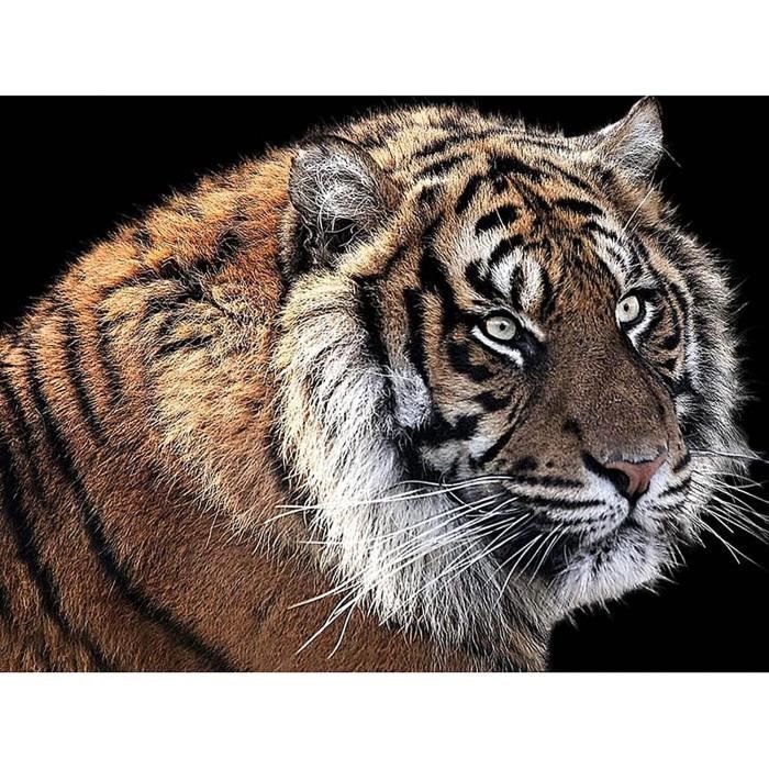 MAXBYE 5D Tigre Diamond Painting Kit, Animale Pittura Diamante