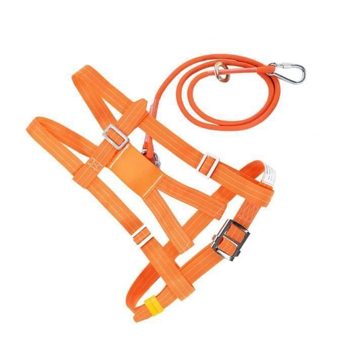 Baudrier Escalade Harnais D'escalade Ceinture De Sécurité Pour Femme Homme Escalade Alpinisme Montagne Descente En Rappel Demi Corps Ce Certificat 92160920
