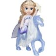 REINE DES NEIGES - Coffret poupée Elsa et Nokk - 15 cm - JAKKS - 480447-1