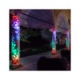 GUIRLANDE CONNECTEE 250 LEDS TWINKLY-3