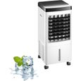 ®RisingFF Climatiseur portable sans fenêtre, mobile, tactile, vertical, avec réservoir d'eau de 10 L, 3 vitesses