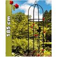 Obélisque de jardin pour rosiers et plantes grimpantes - Gloriette - Vert-0