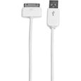 STARTECH Câble connecteur Apple Dock 30 broches vers USB - Pour iPad iPhone iPod - M / M - 1 m - Blanc-0
