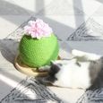 QJ18008-Boule de grattoir de chat en forme de Cactus Griffoir jouet pour chat - vert 25 * 24cm-0