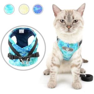 Harnais Avec Laisse Pour Chat Cdiscount Harnais Avec Laisse Pour Chat Cdiscount