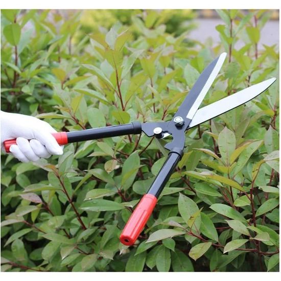 VELLUSTRA Taille-haie, Sécateur, Longueur 52 Cm, Lames En Acier De