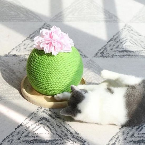 QJ18008-Boule de grattoir de chat en forme de Cactus Griffoir jouet pour chat - vert 25 * 24cm