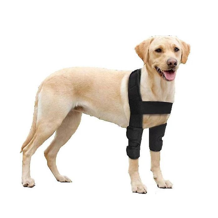 Meilleurs prix pour 1 coudière respirante pour chien équipement de protection pour animaux de compagnie housse de protection contre les blessures - M