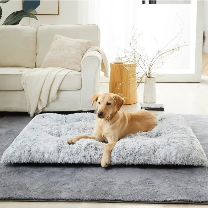 Meilleurs prix pour Panier Chien Grande Taille - Coussin Chien Anti Stress Lavable et Antidérapant - Gris Claire 100x70x10cm Label