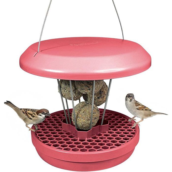 SWISSINNO Mangeoire à Oiseaux Extérieur - Distributeur de Boules de Graisse pour Petit Oiseaux - Anti-Rats ROSE POUSSIéRE MANGEOIRE