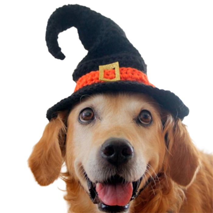 Chapeau de sorcier doux et créatif pour animaux de compagnie accessoire de déguisement pour chiens de grande taille