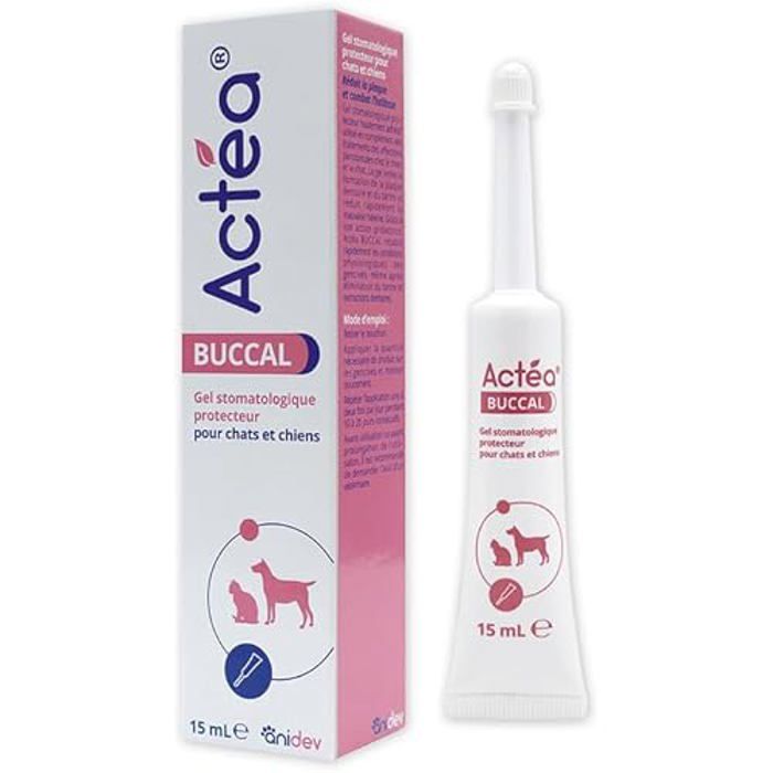 Gel Actéa® Buccal