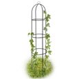 Obélisque de jardin pour rosiers et plantes grimpantes - Gloriette - Vert-1