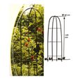 Obélisque de jardin pour rosiers et plantes grimpantes - Gloriette - Vert-2