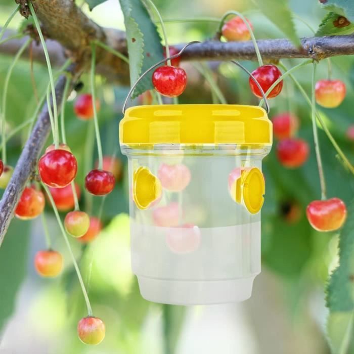 Piège à Frelons Asiatiques Et Guêpes - 4 Pièces Avec Appât - Pour Jardin Et Extérieur