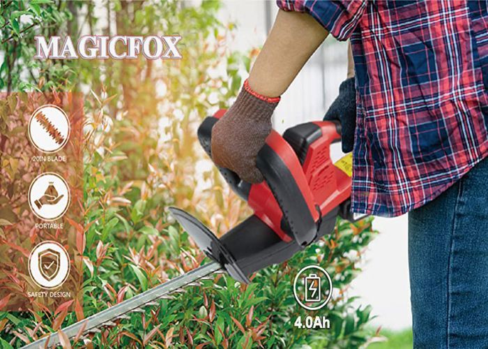 Taille-haie à Batterie STIHL - HSA 26 (pack Batterie AS 2 + Chargeur AL