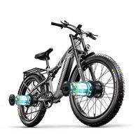 Shengmilo S600 - Vélo électrique 26" - Vélo VTT Électrique Moteur double 2000W - SAMSUNG Batterie 17.5Ah - Pédalage assisté - Gris