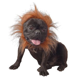 Deguisement Lion Pour Chien Cdiscount