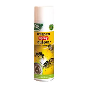 PRODUIT INSECTICIDE Anti - Guêpes et Frelon Spray 500ml