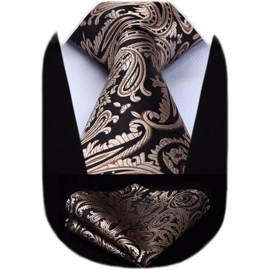 Ensemble Cravate élégante JEMYGINS - Cravate élégante Avec Mouchoir De Poche - Motif Cachemire Bleu Marine - Ensemble Homme Chic Cravate Polyester Cadeau Mariage