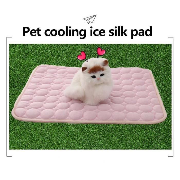 Tapis rafraîchissant pour tapis de glace Pet Resistance Pet convient au chat (taille: 100x70cm)