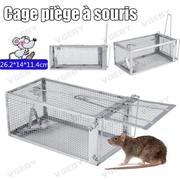 Cage à souris - Piège à Rats Professionnel-Piège à Souris Pour Attraper Les  Souris, Les Mulots et Les Loirs 26,2 * 14 * 11,4 cm - Cdiscount Jardin