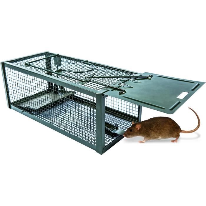 ExHanoi-Piège à souris vivante en acier inoxydable réutilisable, piège à  rats, rongeurs et rats domestiques