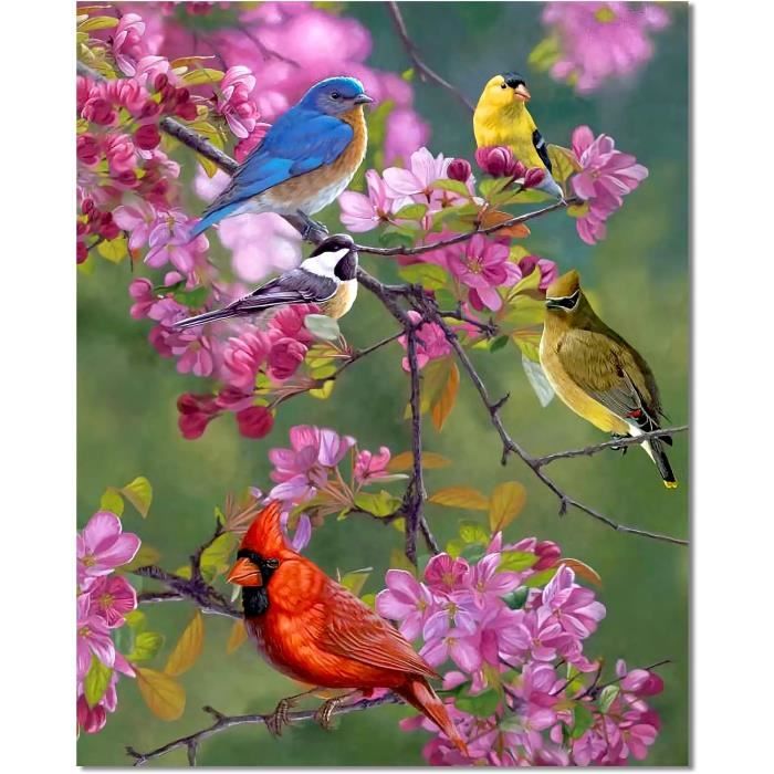 Peinture Par Numero Adulte Oiseaux, Décoration Intérieure Maison Avec Cadre  40X50Cm[u1238] - Cdiscount Beaux-Arts et Loisirs créatifs