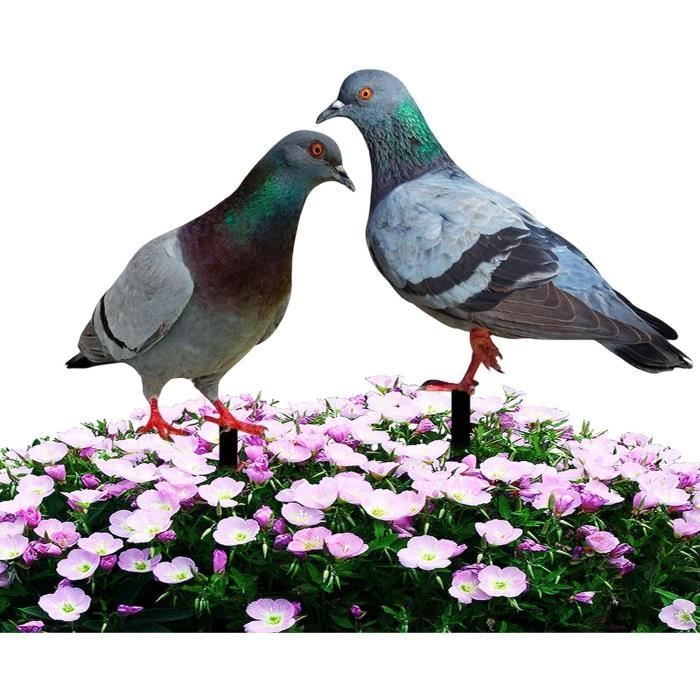 BEAHING 2 Leurres Pigeon Réaliste 3D Pour Chasse à L'Arc - Cibles En Mousse EVA 11x3,2 Pouces