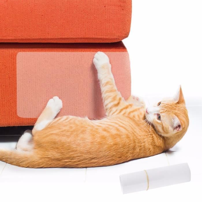2 Pcs Ensemble Pet Chat Grand Tapis De Garde Anti Rayures Chats Scratter Poteau Meubles Canape Griffe Protecteur Pads Pour Chaises Achat Vente Griffoir Poteau 2 Pcs Ensemble Pet Chat G Cdiscount 2 Pcs Ensemble Pet Chat Grand Tapis De Garde Anti Rayures Chats Scratter Poteau Meubles Canape Griffe Protecteur Pads Pour Chaises Achat Vente Griffoir Poteau 2 Pcs Ensemble Pet Chat G Cdiscount