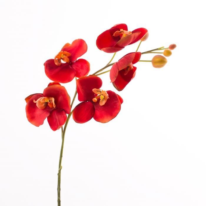 Tige d'orchidée phalaenopsis en tissu, rouge-orange, 80 cm - Orchidée  artificielle - Orchidée décorative - artplants - Cdiscount Maison