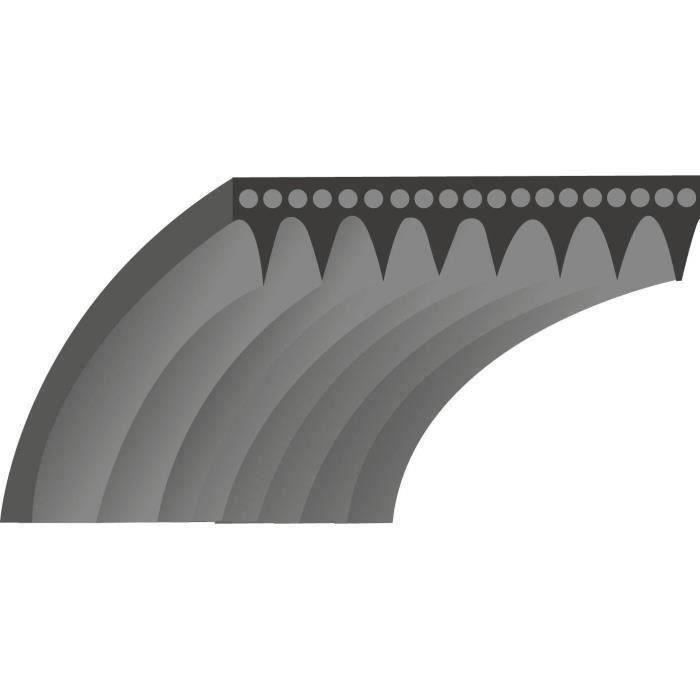 Courroie simple crantage qualité d'origine SNAPPER - Tondeuses autotractées - Section: 3/8, L: 22