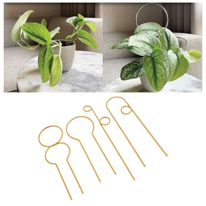 Lot De 4 Treillis De Jardin En Métal Pour Plantes Grimpantes D'intérieur Avec Différents Motifs, Treillis Pour Plantes D'intérieur Pour Plantes En Pot Pour Vigne De Lierre (34 Cm/30 Cm