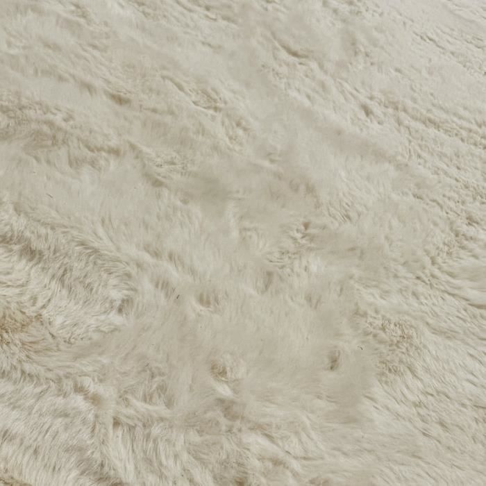 Tapis De Salon Doux Et Moelleux - Long Poils, Antidérapant, Lavable - Beige 50x80 Cm