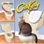 Chat Toilette Litiere Formateur En Plastique Chat Chaton Litiere Pad Plateau Fournitures Pour Animaux De Compagnie Achat Vente Maison De Toilette Chat Toilette Litiere Cdiscount Chat Toilette Litiere Formateur En Plastique Chat Chaton Litiere Pad Plateau Fournitures Pour Animaux De Compagnie Achat Vente Maison De Toilette Chat Toilette Litiere Cdiscount