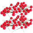 150pcs fruits rouges fleur Houx baies artificielle auswählen décoration à Noël bricolage  FLEUR-PLANTE ARTIFICIELLE - FLEUR SECHEE-0