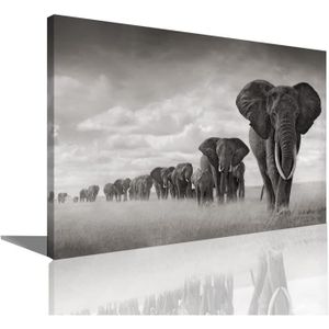 TABLEAU - TOILE Savane Africaine Éléphant Mur Art Photo Noir Et Bl