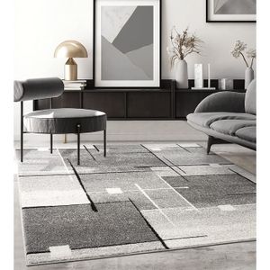 TAPIS Tapis de salon ou de chambre en moderne design | Motifs géométriques - Gris 140x200 | Intérieur - The Carpet PEARL