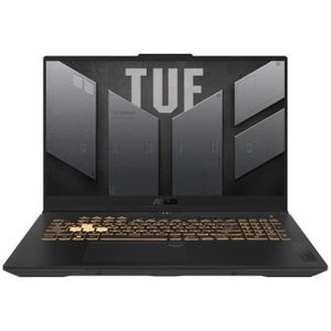 ORDINATEUR PORTABLE PC Portable Gamer ASUS TUF Gaming A17 | Sans Windo