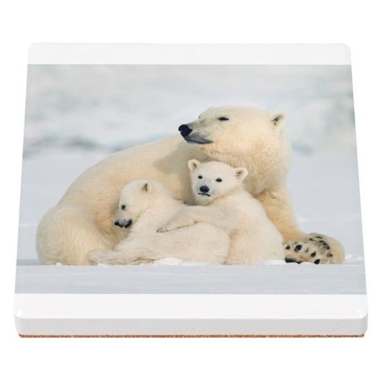 Housse De Coussin Pôle Nord | Françoise Saget