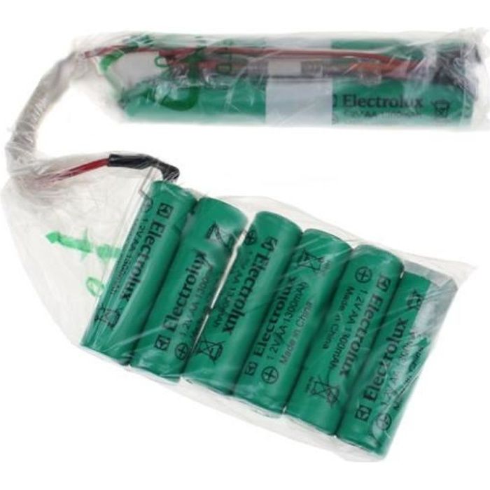 KIT BATTERIE ERGO RAPIDO POUR ASPIRATEUR ELECTROLUX - BVMPIECES