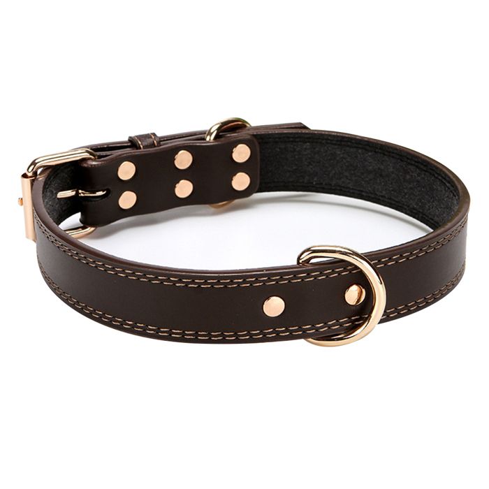 Meilleurs prix pour Collier pour chien, collier pour chien en cuir imperméable souple, cuir de collier pour chien réglable durable