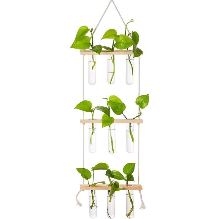 Station De Propagation En Verre Suspendue Avec 4 Tubes à Essai - Support Bois Vintage Pour Plantes