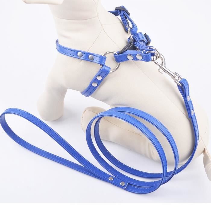XS - Bleu marine - harnais chien Harnais en cuir Pu Rose pour chien,  ensemble de laisse pour animaux de compa