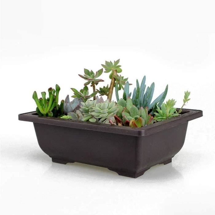 Pots de fleurs Pot Bonsai formation bassin Pot de fleurs Bol Nursery