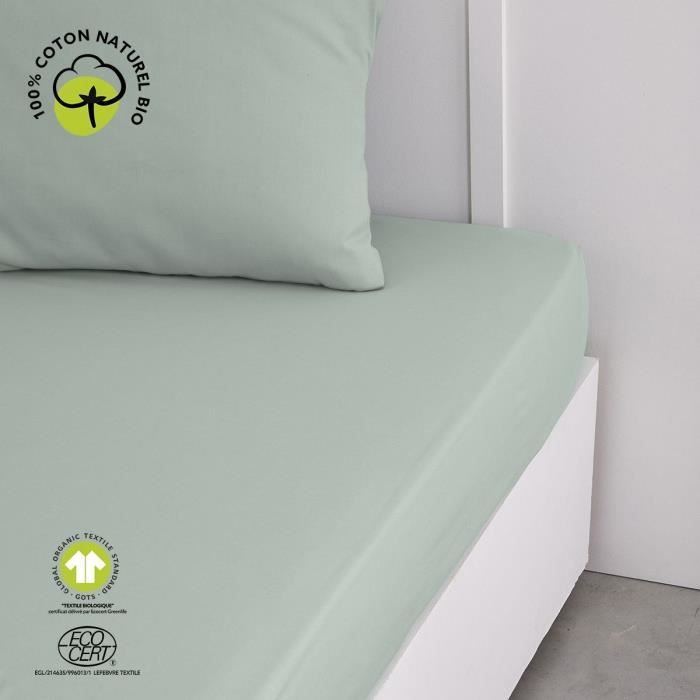 Drap housse - TODAY - 180 x 200 cm + 30 cm - Coton - Organic Celadon